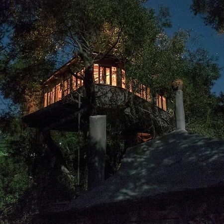Vila Margaritis'S Treehouse Paramonas  Exteriér fotografie