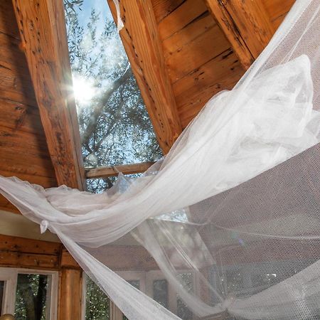 Vila Margaritis'S Treehouse Paramonas  Exteriér fotografie