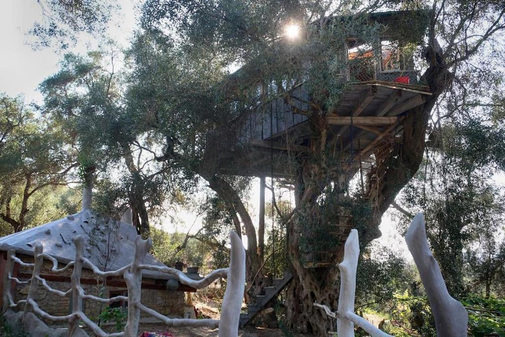 Vila Margaritis'S Treehouse Paramonas  Exteriér fotografie