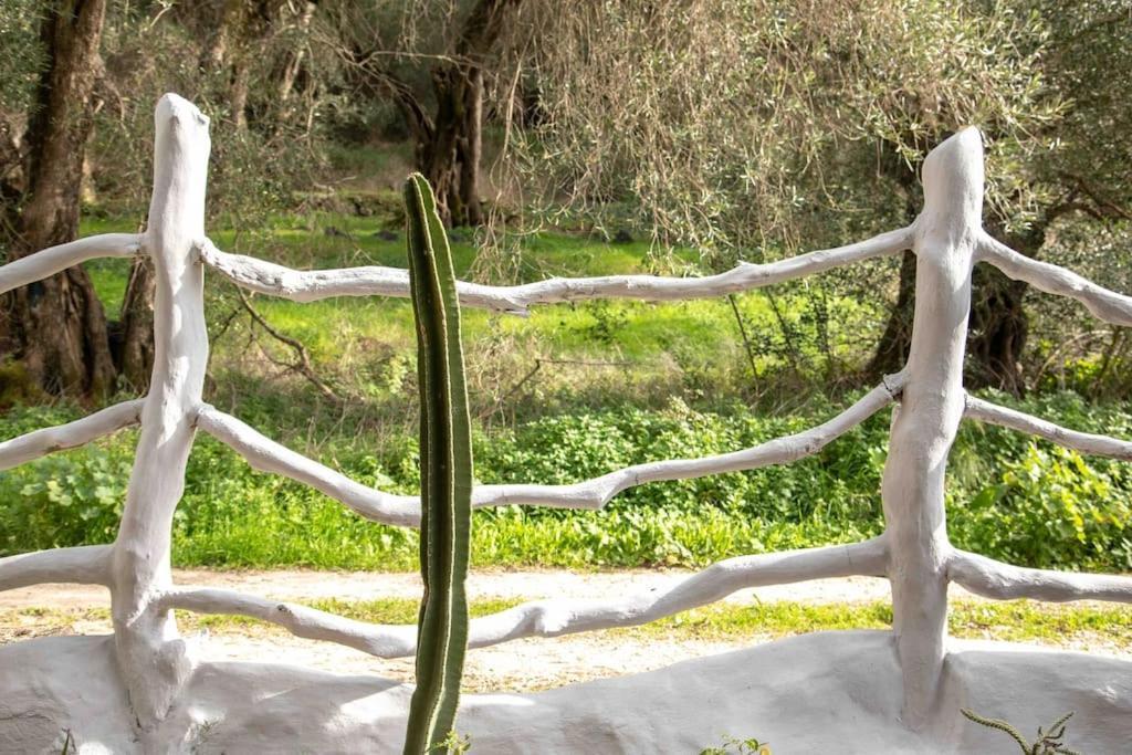 Vila Margaritis'S Treehouse Paramonas  Exteriér fotografie