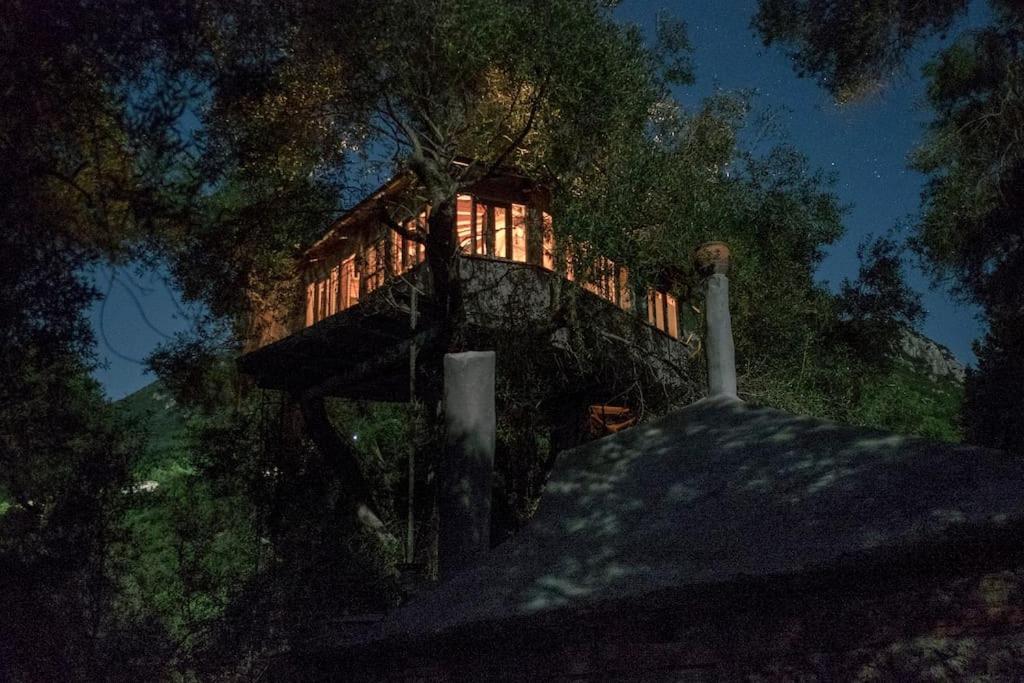 Vila Margaritis'S Treehouse Paramonas  Exteriér fotografie