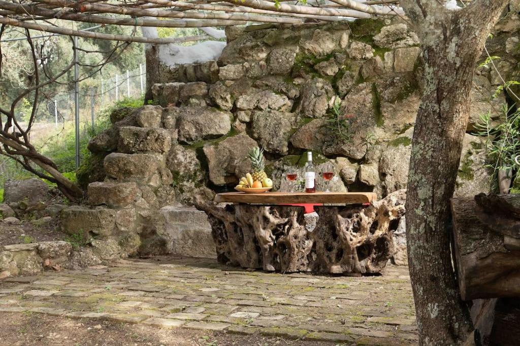 Vila Margaritis'S Treehouse Paramonas  Exteriér fotografie