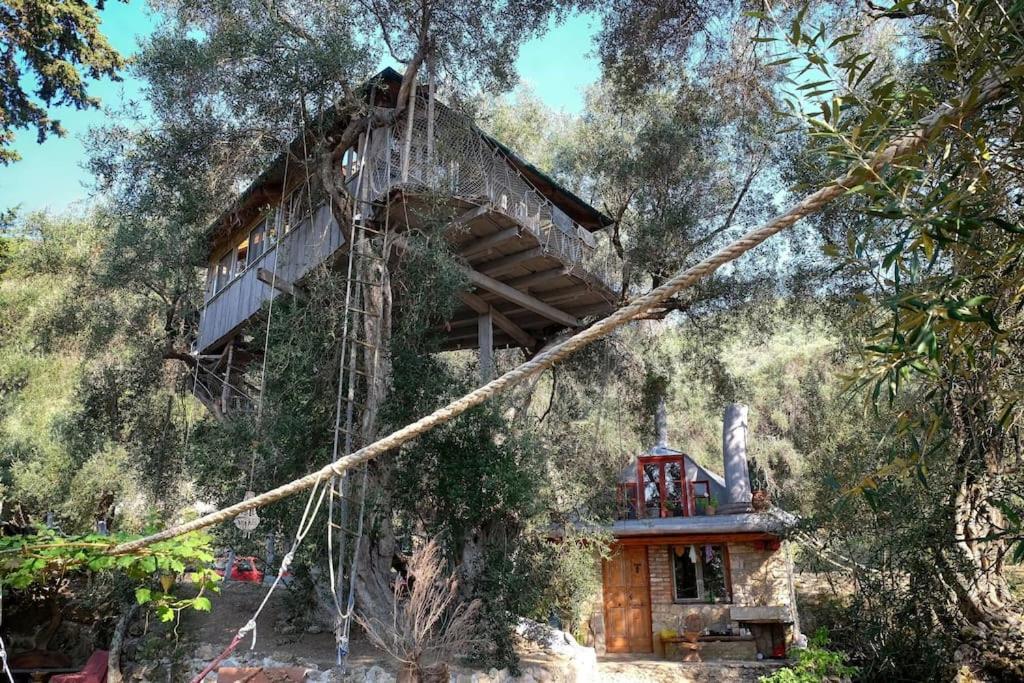 Vila Margaritis'S Treehouse Paramonas  Exteriér fotografie