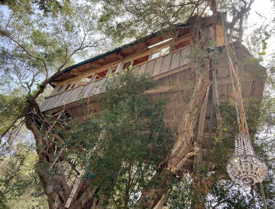 Vila Margaritis'S Treehouse Paramonas  Exteriér fotografie
