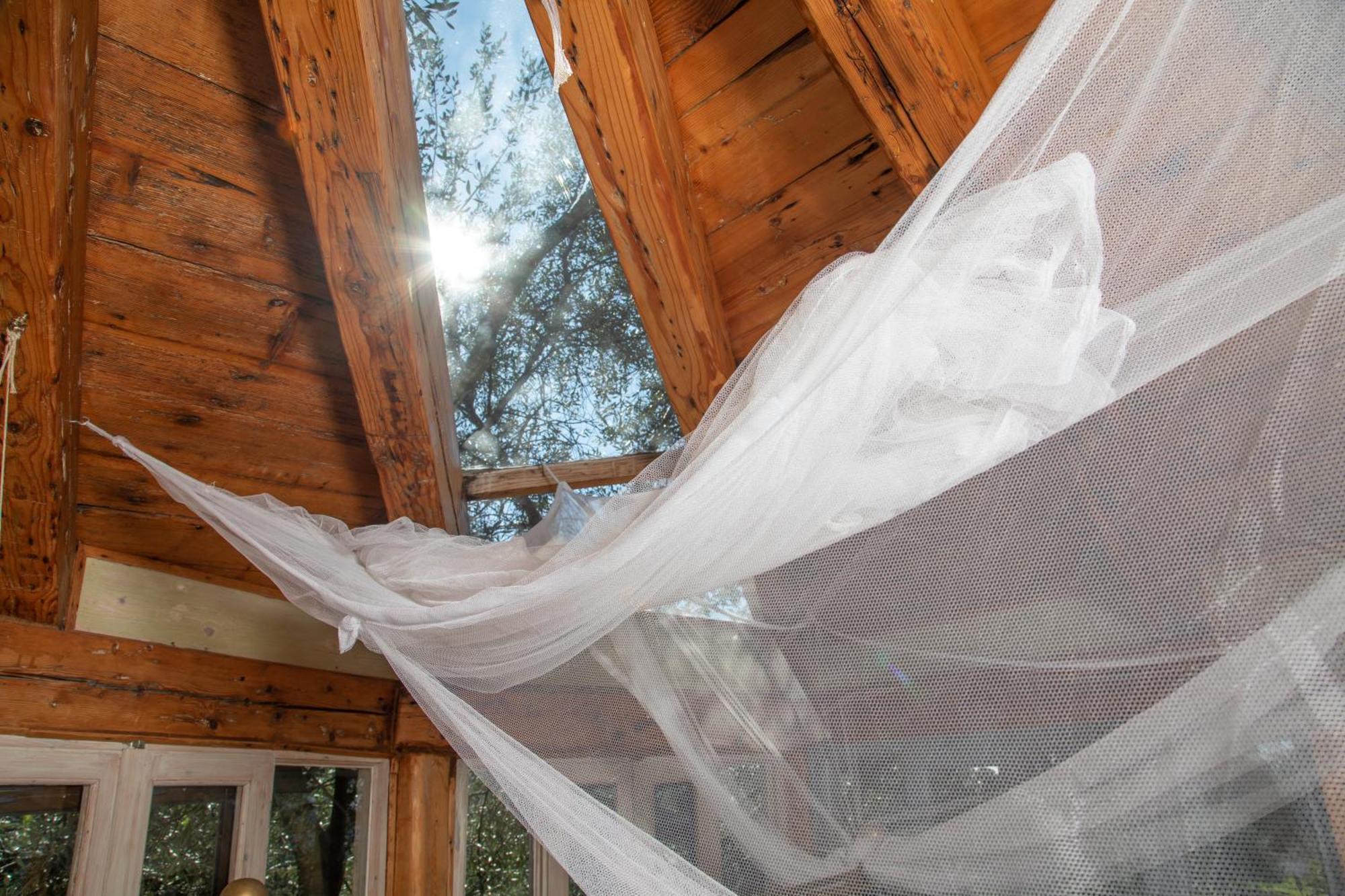 Vila Margaritis'S Treehouse Paramonas  Exteriér fotografie
